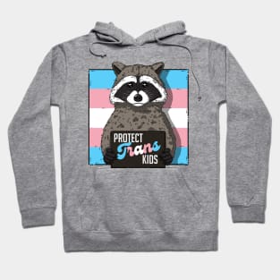 Baby Raccoon Protect Trans Kids Hoodie